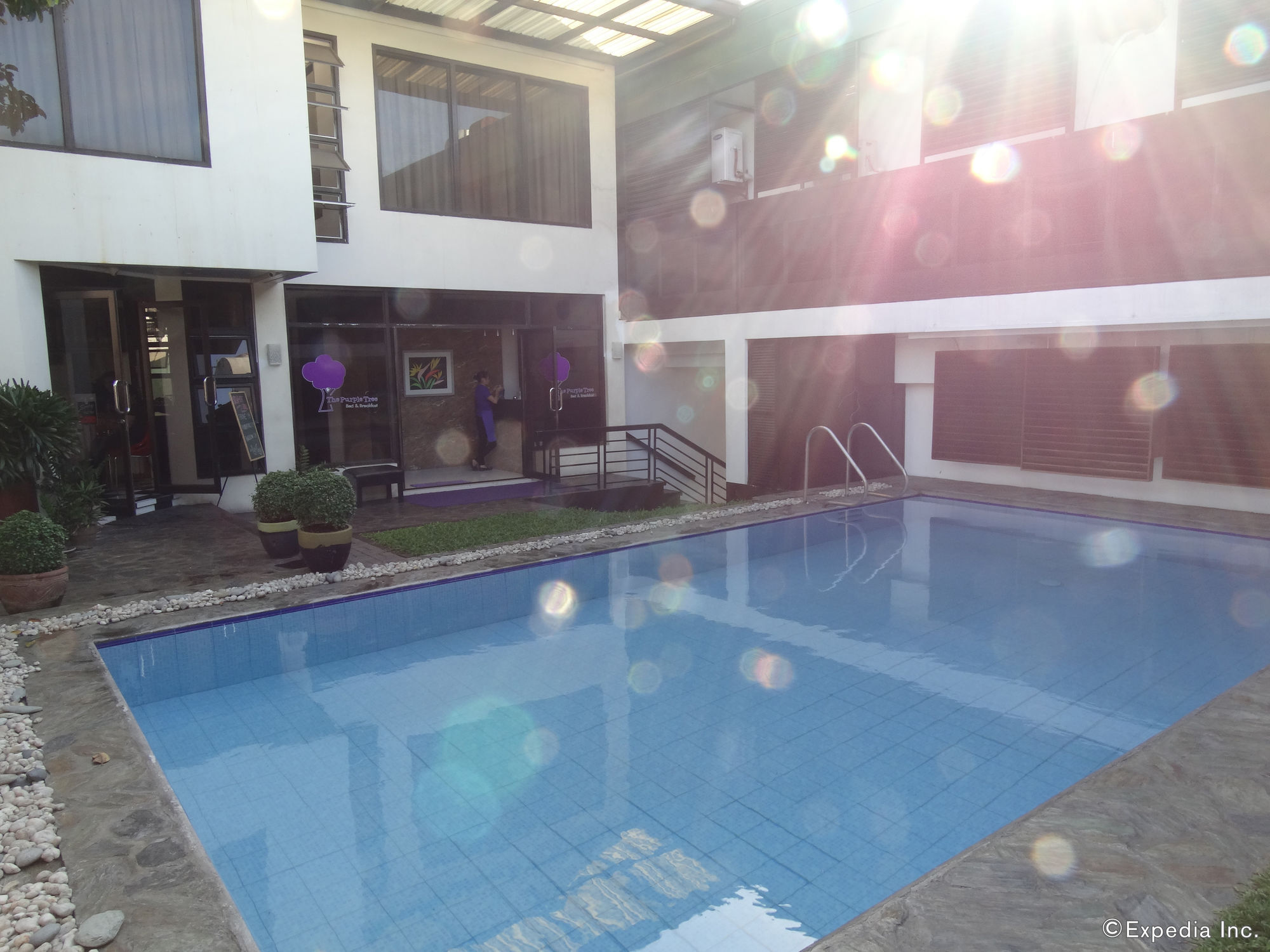 Purple Tree Bed & Breakfast Paranaque City Exterior photo